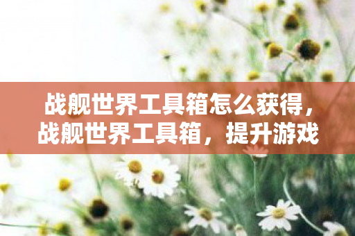 战舰世界工具箱怎么获得，战舰世界工具箱，提升游戏效率与体验的神器