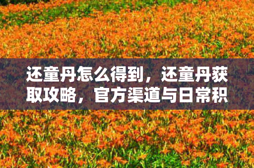 还童丹怎么得到，还童丹获取攻略，官方渠道与日常积累