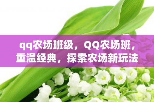qq农场班级，QQ农场班，重温经典，探索农场新玩法