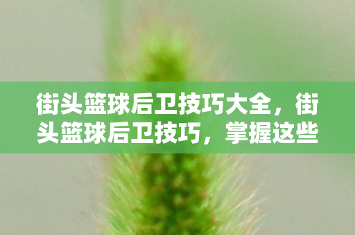 街头篮球后卫技巧大全，街头篮球后卫技巧，掌握这些技巧，让你成为球场上的MVP