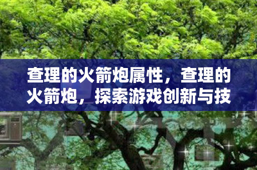 查理的火箭炮属性,查理的火箭炮,探索游戏创新与技术变革的边界 查理的火箭炮属性,查理的火箭炮,探索游戏创新与技术变革的边界