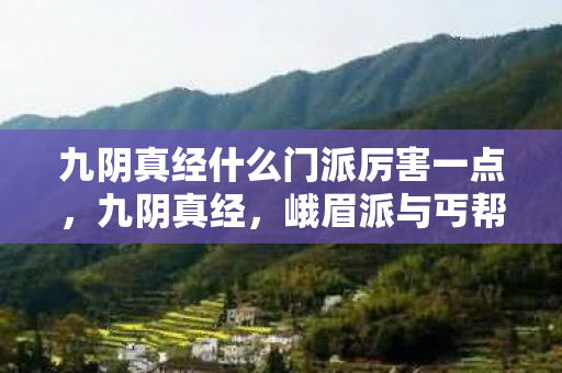 九阴真经什么门派厉害一点,九阴真经,峨眉派与丐帮的绝世风采 九阴真经什么门派厉害一点,九阴真经,峨眉派与丐帮的绝世风采