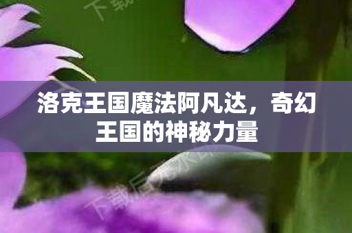 洛克王国魔法阿凡达，奇幻王国的神秘力量