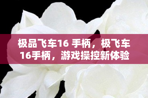 极品飞车16 手柄，极飞车16手柄，游戏操控新体验
