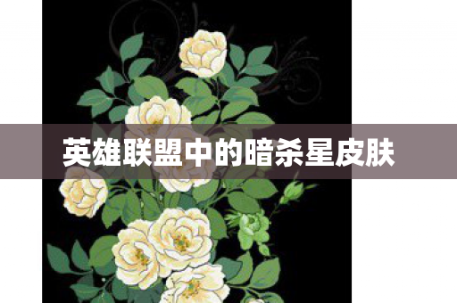 英雄联盟中的暗杀星皮肤 英雄联盟中的暗杀星皮肤