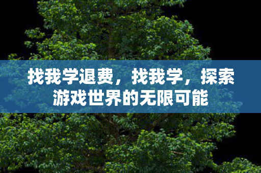 找我学退费，找我学，探索游戏世界的无限可能