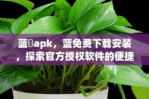 蓝廋apk，蓝免费下载安装，探索官方授权软件的便捷获取之道