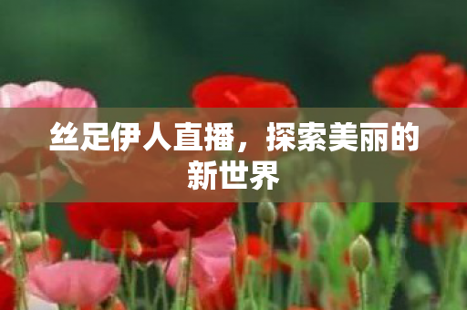 丝足伊人直播，探索美丽的新世界