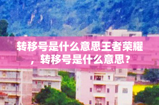转移号是什么意思王者荣耀，转移号是什么意思？