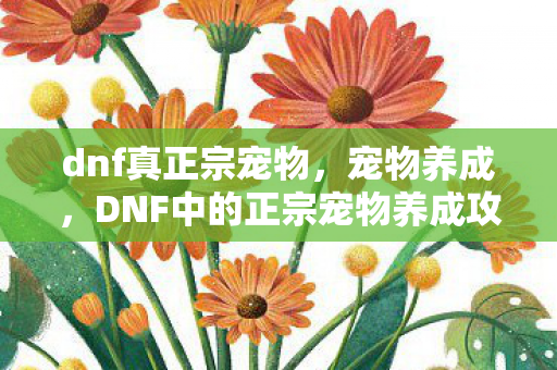 dnf真正宗宠物，宠物养成，DNF中的正宗宠物养成攻略