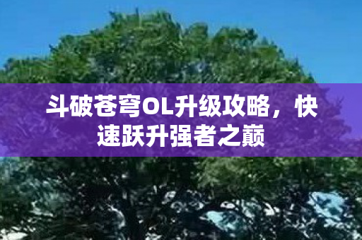 斗破苍穹OL升级攻略,快速跃升强者之巅 斗破苍穹OL升级攻略,快速跃升强者之巅