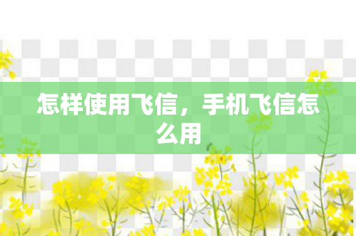 怎样使用飞信,手机飞信怎么用 怎样使用飞信,手机飞信怎么用