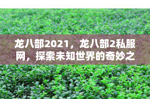 龙八部2021，龙八部2私服网，探索未知世界的奇妙之旅