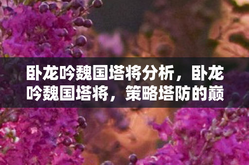 卧龙吟魏国塔将分析，卧龙吟魏国塔将，策略塔防的巅峰之作