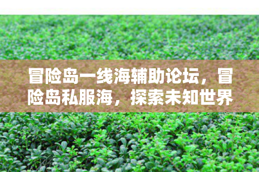 冒险岛一线海辅助论坛,冒险岛私服海,探索未知世界的奇妙之旅 冒险岛一线海辅助论坛,冒险岛私服海,探索未知世界的奇妙之旅