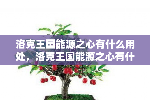 洛克王国能源之心有什么用处，洛克王国能源之心有什么用