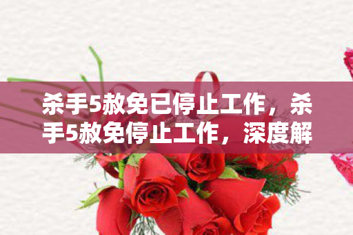 杀手5赦免已停止工作，杀手5赦免停止工作，深度解析游戏运行问题