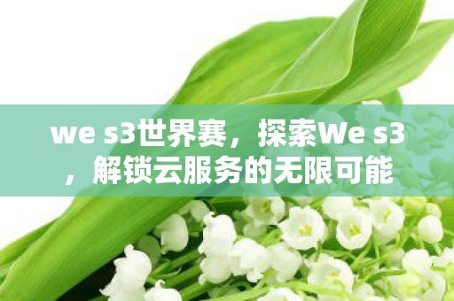 we s3世界赛，探索We s3，解锁云服务的无限可能