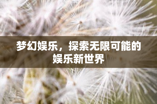 梦幻娱乐,探索无限可能的娱乐新世界 梦幻娱乐,探索无限可能的娱乐新世界