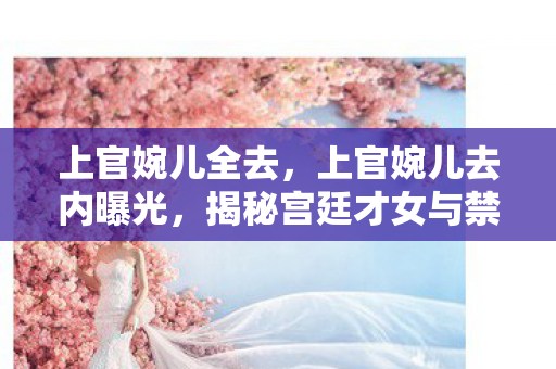 上官婉儿全去，上官婉儿去内曝光，揭秘宫廷才女与禁书之谜