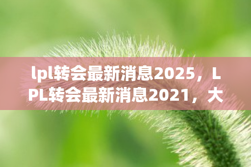 lpl转会最新消息2025，LPL转会最新消息2021，大变动与未来展望