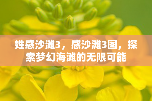 姓感沙滩3，感沙滩3图，探索梦幻海滩的无限可能