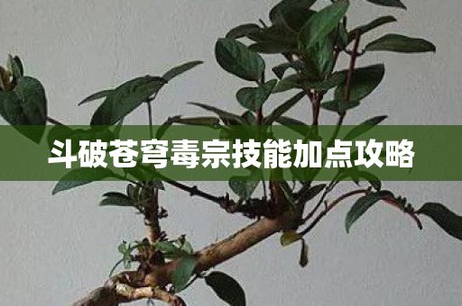 斗破苍穹毒宗技能加点攻略 斗破苍穹毒宗技能加点攻略