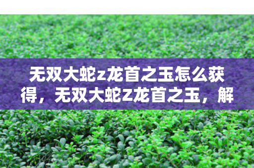 无双大蛇z龙首之玉怎么获得，无双大蛇Z龙首之玉，解锁神秘力量的传奇宝石