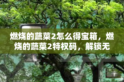 燃烧的蔬菜2怎么得宝箱，燃烧的蔬菜2特权码，解锁无限可能的神秘钥匙