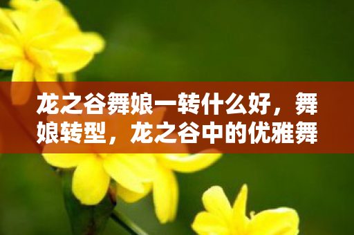 龙之谷舞娘一转什么好，舞娘转型，龙之谷中的优雅舞者