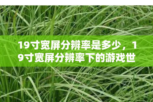 19寸宽屏分辨率是多少，19寸宽屏分辨率下的游戏世界，探索视觉与体验的完美融合