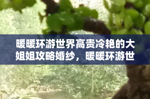 暖暖环游世界高贵冷艳的大姐姐攻略婚纱，暖暖环游世界，高贵冷艳的大姐姐