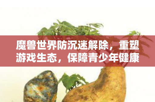 魔兽世界防沉迷解除,重塑游戏生态,保障青少年健康 魔兽世界防沉迷解除,重塑游戏生态,保障青少年健康