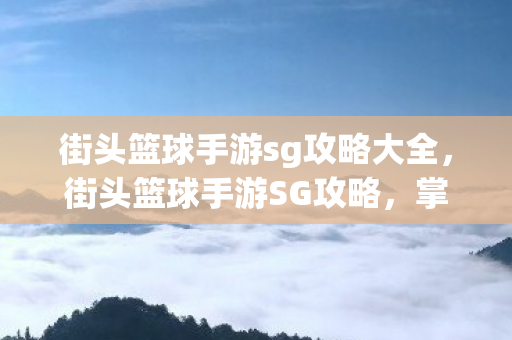街头篮球手游sg攻略大全，街头篮球手游SG攻略，掌握得分技巧，提升比赛胜率