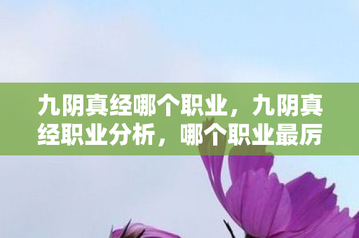九阴真经哪个职业，九阴真经职业分析，哪个职业最厉害？