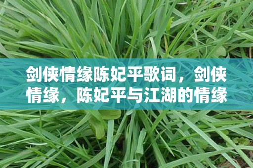 剑侠情缘陈妃平歌词，剑侠情缘，陈妃平与江湖的情缘