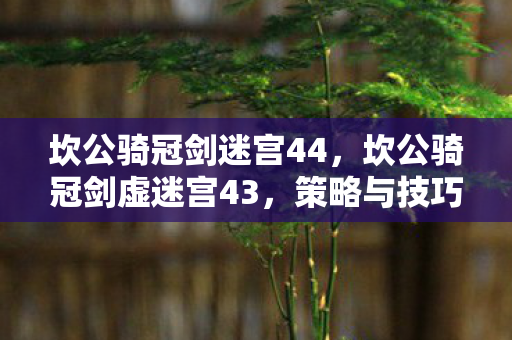 坎公骑冠剑迷宫44，坎公骑冠剑虚迷宫43，策略与技巧的深度剖析
