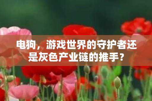 电狗，游戏世界的守护者还是灰色产业链的推手？