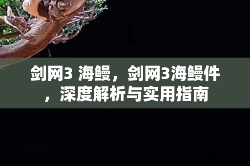 剑网3 海鳗,剑网3海鳗件,深度解析与实用指南 剑网3 海鳗,剑网3海鳗件,深度解析与实用指南