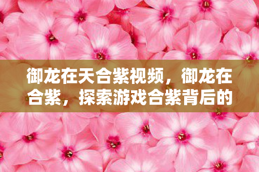 御龙在天合紫视频，御龙在合紫，探索游戏合紫背后的奥秘