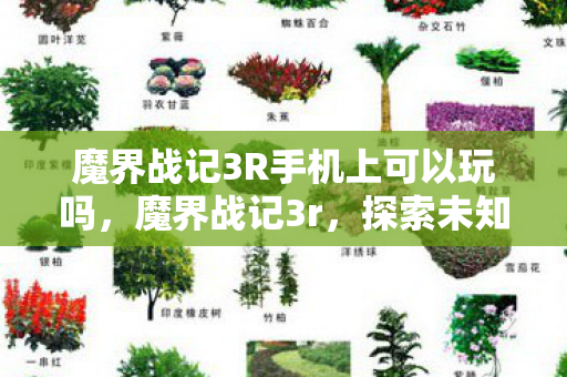 魔界战记3R手机上可以玩吗，魔界战记3r，探索未知世界的奇幻冒险