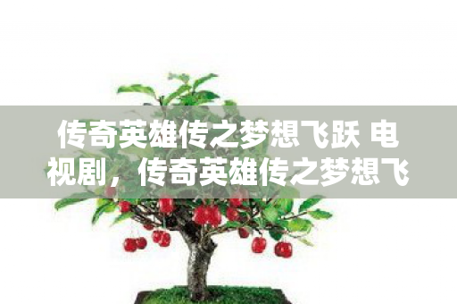传奇英雄传之梦想飞跃 电视剧，传奇英雄传之梦想飞跃