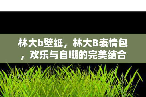 林大b壁纸，林大B表情包，欢乐与自嘲的完美结合