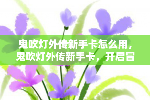 鬼吹灯外传新手卡怎么用，鬼吹灯外传新手卡，开启冒险之旅的钥匙