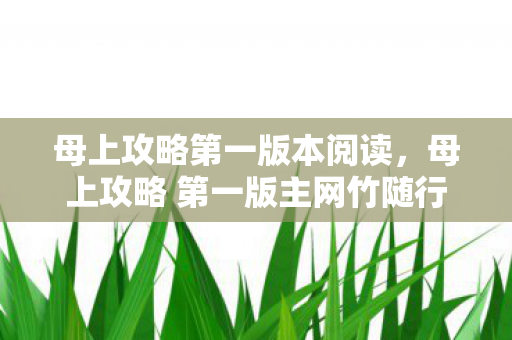 母上攻略第一版本阅读，母上攻略 第一版主网竹随行