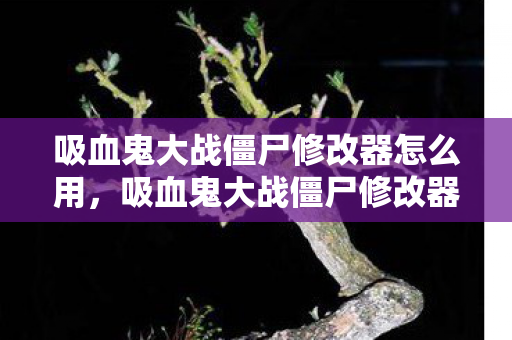 吸血鬼大战僵尸修改器怎么用，吸血鬼大战僵尸修改器，解锁无限可能的冒险之旅