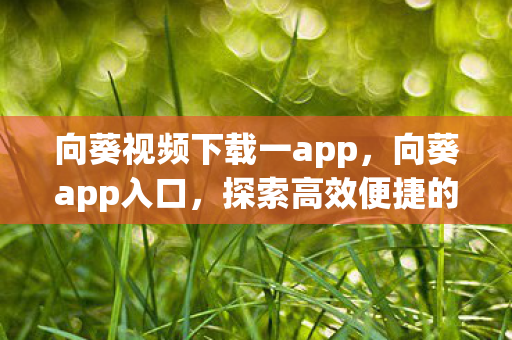 向葵视频下载一app,向葵app入口,探索高效便捷的移动办公新体验 向葵视频下载一app,向葵app入口,探索高效便捷的移动办公新体验
