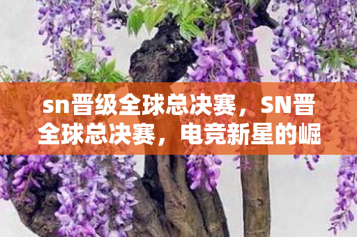 sn晋级全球总决赛,SN晋全球总决赛,电竞新星的崛起之路 sn晋级全球总决赛,SN晋全球总决赛,电竞新星的崛起之路