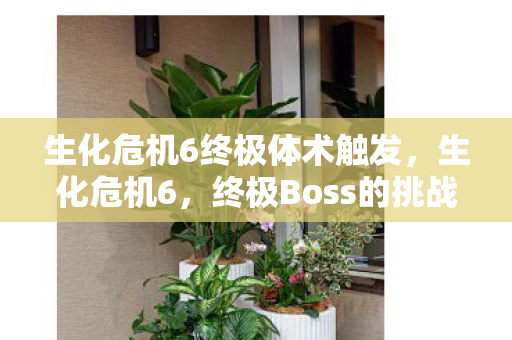 生化危机6终极体术触发,生化危机6,终极Boss的挑战与解析 生化危机6终极体术触发,生化危机6,终极Boss的挑战与解析