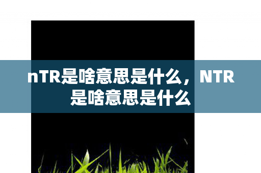 nTR是啥意思是什么,NTR是啥意思是什么 nTR是啥意思是什么,NTR是啥意思是什么